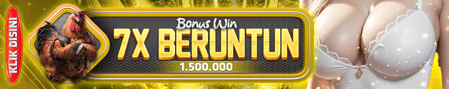 BONUS WINSTREAK SABUNG AYAM